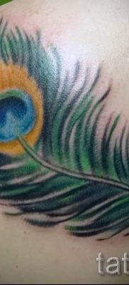 Fotó egy szokatlan pávatoll tetoválásról, amelynek vázlata alkalmas lábra vagy csuklóra - a tetováló anyag jelentése