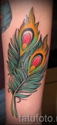 Fotó egy érdekes pávatoll tetoválásról, amelynek vázlata alkalmas a hasra vagy a mellkasra - a tetoválás anyagának jelentése