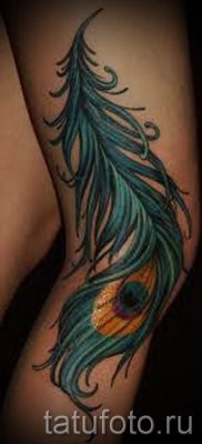 Példa egy szokatlan tetováló pávatollra, amelynek rajza alkalmas a hasra vagy a kézre - a tetováló anyag jelentése