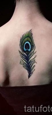 Fotó egy hűvös pávatoll tetoválásról, amelynek vázlata alkalmas a hasra vagy az alkarra - a tetováló anyag jelentése