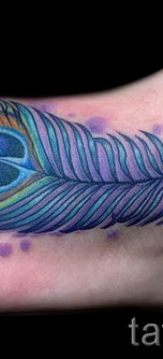 Fotó egy hűvös pávatoll tetoválásról, amelynek vázlata alkalmas az alsó lábszárra vagy a karra - a tetováló anyag jelentése