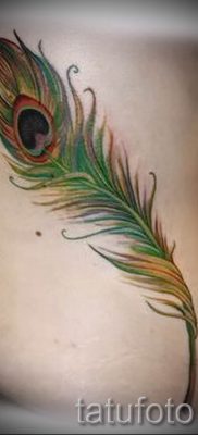 Egy hűvös pávatoll tetoválás egy változata, amelynek vázlata alkalmas a hasra vagy a lapockára - a tetováló anyag jelentése