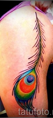 A pávatoll eredeti tetoválásának egy változata, amelynek rajza alkalmas a hasra vagy a lapockára - a tetováló anyag jelentése