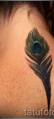 Fotó egy menő tetováló pávatollról, amelynek rajza alkalmas a törzsre vagy a hátra - a tetováló anyag jelentése