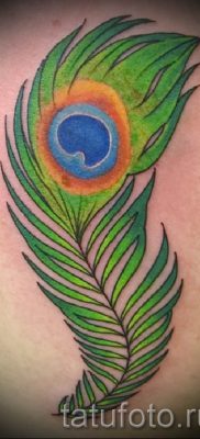 Fotó egy érdekes pávatoll tetoválásról, amelynek vázlata alkalmas az alsó lábszárra vagy az alkarra - a tetováló anyag jelentése