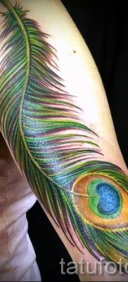 Fotó egy hűvös pávatoll tetoválásról, amelynek rajza alkalmas lábra vagy hátra - a tetováló anyag jelentése