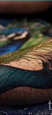 Fotó egy elegáns pávatoll tetoválásról, amelynek vázlata alkalmas a hasra vagy a csuklóra - a tetováló anyag jelentése