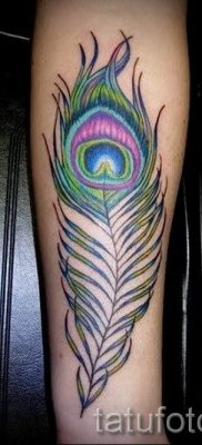 Az elegáns pávatoll tetoválás egy változata, amelynek vázlata alkalmas lábra vagy nyakra - a tetováló anyag jelentése