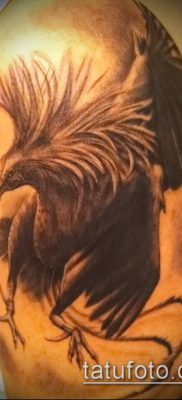 Kakas tetoválás jelentése - fényképes példák és információk 12
