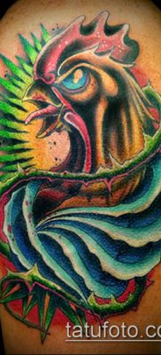 012. Fotó tetováló kakasról