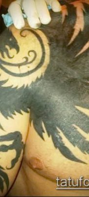 013. Fotó tetováló kakasról (tetováló kakas) (érték)