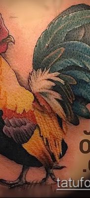 Fénykép tetováló kakasról (tetováló kakas) (érték) - példa rajz - 020