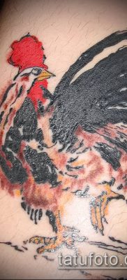 022. Tetováló kakas fotó