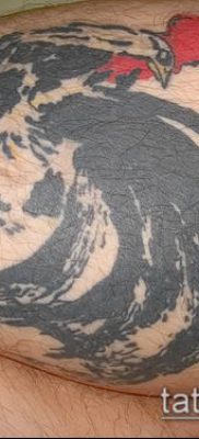 Fotó a tetováló kakasról (tetováló kakas) (érték) - példa rajz - 023