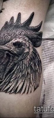 Fotó a tetováló kakasról (tetováló kakas) (érték) - példa rajz - 028