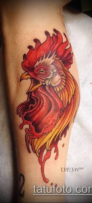 Fénykép tetováló kakasról (tetováló kakas) (érték) - példa rajz - 040