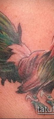 Fotó a tetováló kakasról (tetováló kakas) (érték) - példa rajz - 042