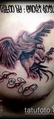 Fotó a tetováló kakasról (tetováló kakas) (érték) - példa rajz - 051