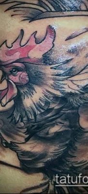 Fotó a tetováló kakasról (tetováló kakas) (érték) - példa rajz - 062