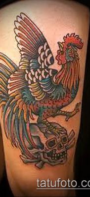 Fotó egy tetováló kakasról (Tetováló kakas) (érték) - példa rajz - 063
