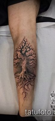 Fotó az ásó tetoválásról - példa - 29052017 - példa - 034 ásó tetoválás