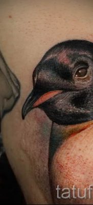fotó pingvin tetoválásról a pingvin tetoválás jelentéséről szóló cikkhez - tatufoto.ru - 52