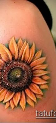 napraforgó tetoválás fotó (jelentése) - példa egy érdekes tetoválási tervre - 063
