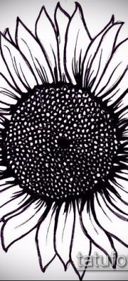 napraforgó tetoválás fotó (jelentése) - példa egy érdekes tetoválási rajzra - 045
