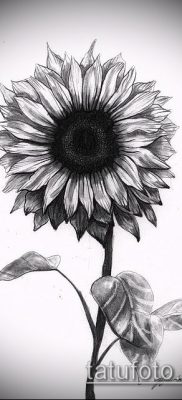 napraforgó tetoválás fotó (jelentése) - példa egy érdekes tetoválási rajzra - 002