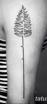 fotó tetoválás egyenes vonal (szalag) kelt 2017.08.11. №162 - Egyenes vonalú tetoválás