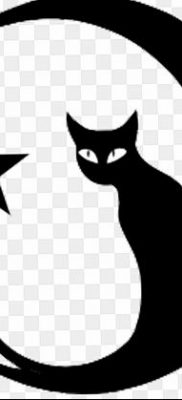 fotó egy félhold hold tetoválásról csillaggal kelt, 2018.06.26. №083 - félhold tetoválás a -