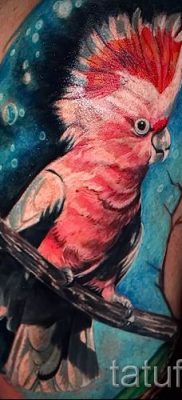 фото пример за татуировка на папагал за статия за значението на татуировка с папагал - 49