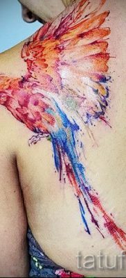 фото пример за татуировка на папагал за статия за значението на татуировка с папагал - 46