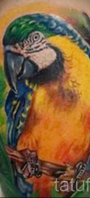 фото пример за татуировка на папагал за статия за значението на татуировка с папагал - 44