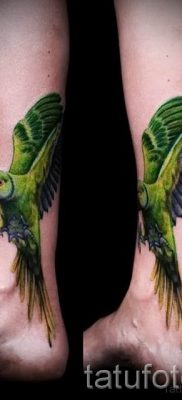 фото пример за татуировка на папагал за статия за значението на татуировка с папагал - 43