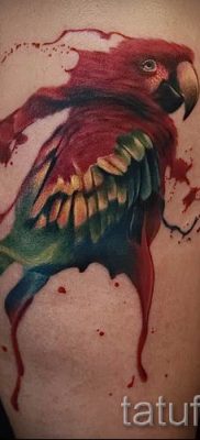 фото пример за татуировка на папагал за статия за значението на татуировка с папагал - 42