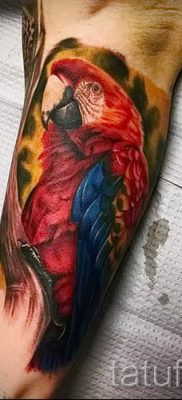 фото пример за татуировка на папагал за статия за значението на татуировка с папагал - 39