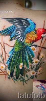 фото пример за татуировка на папагал за статия за значението на татуировка с папагал - 36