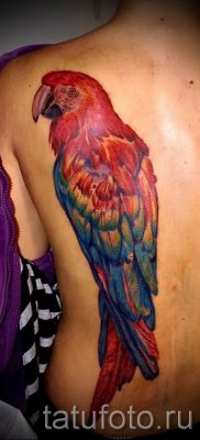 фото пример за татуировка на папагал за статия за значението на татуировка с папагал - 33