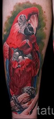 фото пример за татуировка на папагал за статия за значението на татуировка с папагал - 32