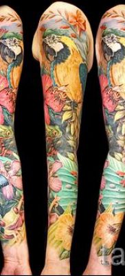 фото пример за татуировка на папагал за статия за значението на татуировка с папагал - 31
