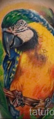 фото пример за татуировка на папагал за статия за значението на татуировка с папагал - 30