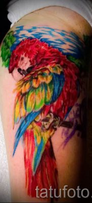 фото пример за татуировка на папагал за статия за значението на татуировка с папагал - 28