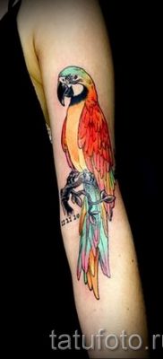 фото пример за татуировка на папагал за статия за значението на татуировка с папагал - 27
