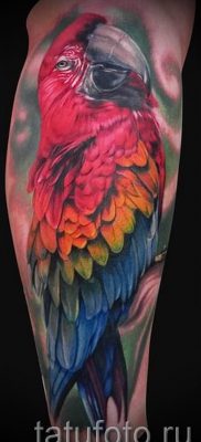 фото пример за татуировка на папагал за статия за значението на татуировка с папагал - 25