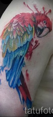 фото пример за татуировка на папагал за статия за значението на татуировка с папагал - 24