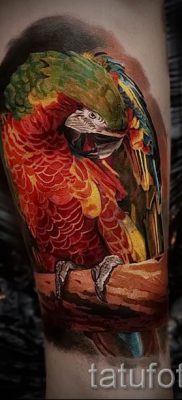 фото пример за татуировка на папагал за статия за значението на татуировка с папагал - 22