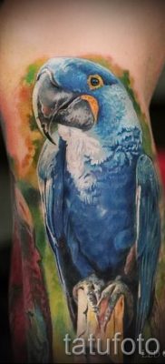 фото пример за татуировка на папагал за статия за значението на татуировка с папагал - 21