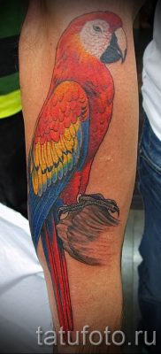 фото пример за татуировка на папагал за статия за значението на татуировка с папагал - 20