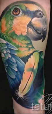 фото пример за татуировка на папагал за статия за значението на татуировка с папагал - 19